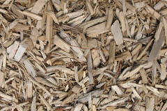 biomass boilers Dunino